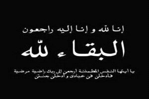 نائب وزير النقل يعزي محافظ البنك المركزي بوفاة شقيقه 